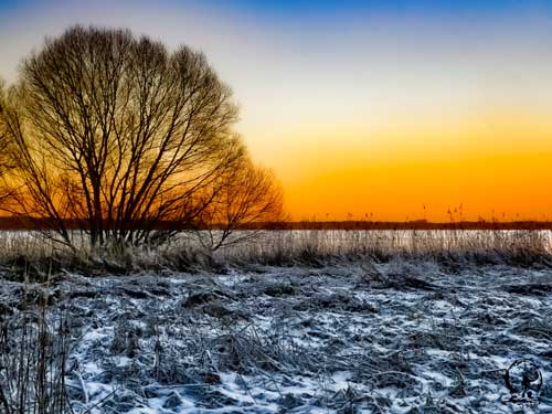 Eindrucksvoller Sonnenuntergang im Winter am Zwischenahner Meer 