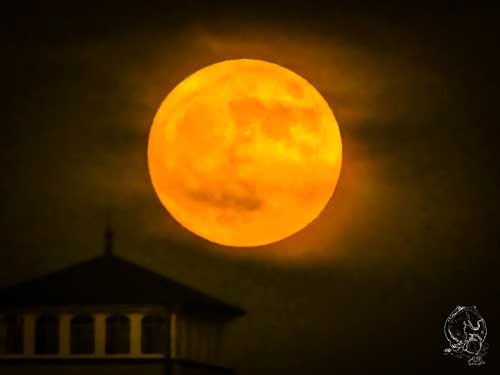 Blutmond auf der Insel Rügen