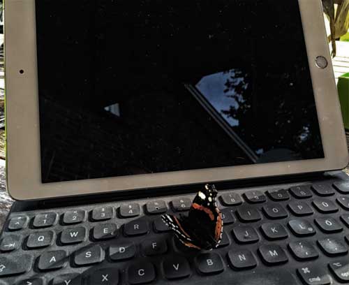 Ipad mit Schmetterling